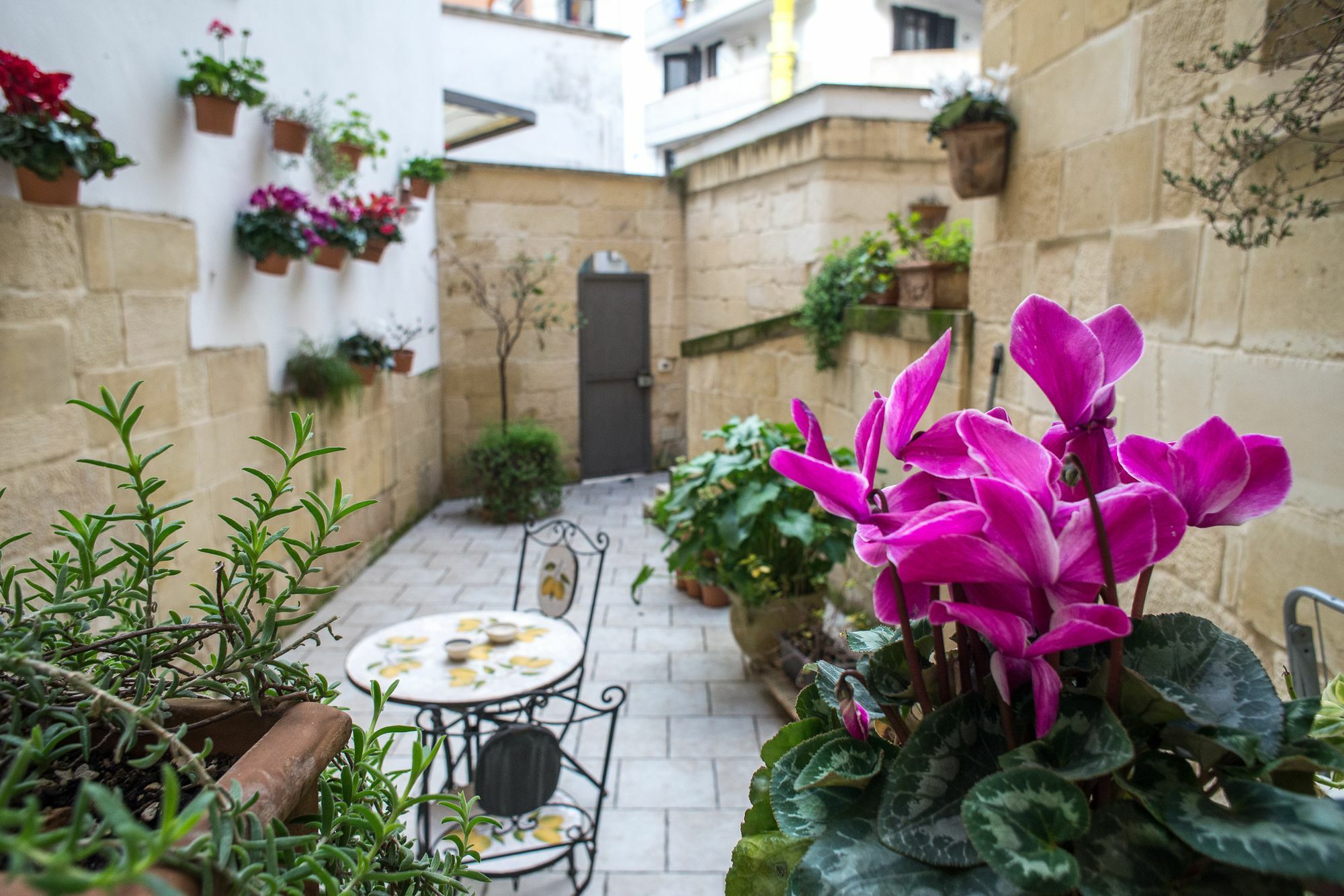 Bed and Breakfast 19Venti à Lecce Extérieur photo
